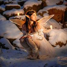 Load image into Gallery viewer, SUGAR PLUM FAIRY 100% Soy Wax Melt