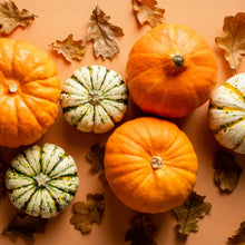 Load image into Gallery viewer, PUMPKIN OUD 100% Soy Wax Melt