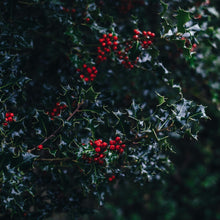 Load image into Gallery viewer, HOLLY KING 100% Soy Wax Melt