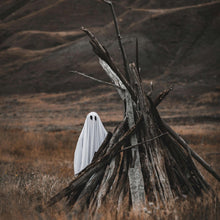 Load image into Gallery viewer, VINTAGE HAUNT 100% Soy Wax Melt