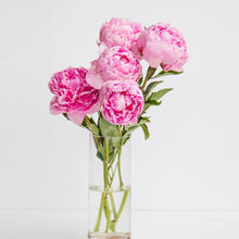 Load image into Gallery viewer, PINK PEONY Artisan Soap - Double Butter Formula!