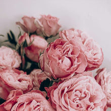 Load image into Gallery viewer, ELIZABETA Artisan Soap - Double Butter Formula!